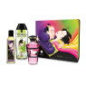 Подарочный набор Shunga Fruity Kisses
