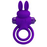 Эрекционное кольцо Prettylove Penis III