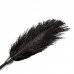 Щекотка Black Feather Tickler