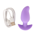 Анальная пробка с вибрацией Vibrating Mini Butt Plug Purple