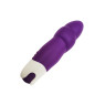 Мини вибратор привлекательным дизайном AMOR VIBRATOR SOHAN Violet (Приложение НЕ Функционирует!)