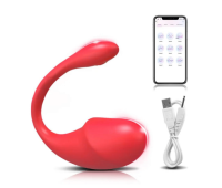 Вагинальное яйцо дистанционное управление "Egg Vibrator", 9 режимов вибрации, красный