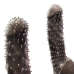 Закрытая насадка "Spikes hat", L110 mm, D50 mm