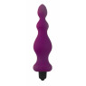 Анальная пробка с вибрацией Adrien Lastic Bullet Amuse Purple