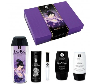 Подарочный набор Shunga Naughtier Kit