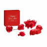 Набор Bijoux Indiscrets - Happily Ever After - RED LABEL
