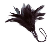 Метелочка Adrien Lastic Prestige Метелочка Adrien Lastic Prestige