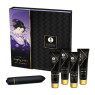Подарочный набор Shunga NAUGHTY GEISHA